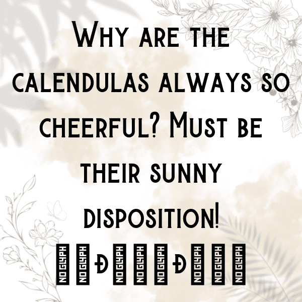 248+ Calendula Captions For Instagram In 2025 6 Calendula Captions Photo For Instagram-JddSrR