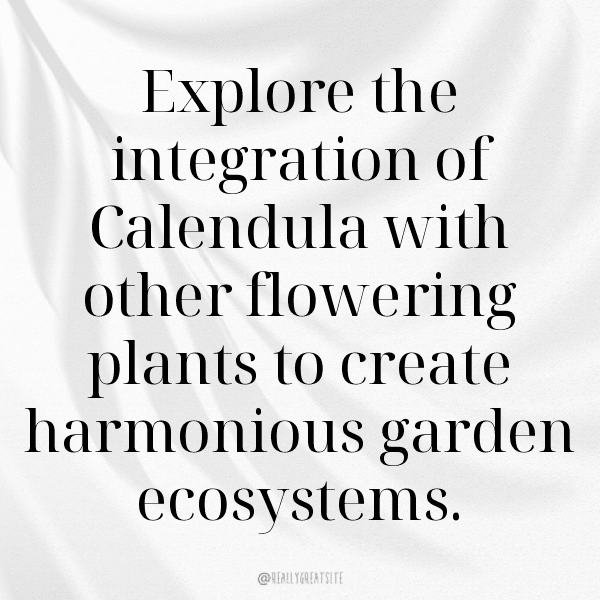 248+ Calendula Captions For Instagram In 2025 14 Calendula Captions Photo For Instagram-q6jhtJ