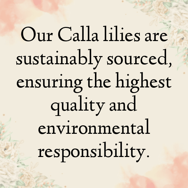 333+ Calla Lily Captions For Instagram In 2025 9 Calla Lily Captions Photo For Instagram-Z8cc7U