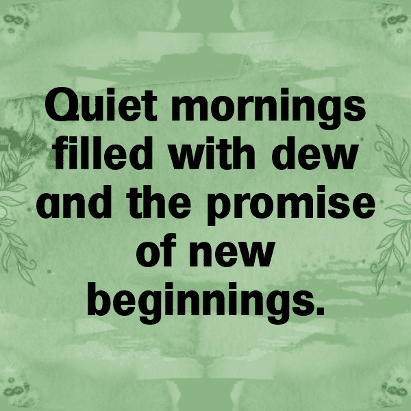 208+ Calm Waters Captions for Instagram In 2025 9 Calm Waters Captions Image for Instagram-cKytmj