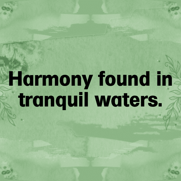 208+ Calm Waters Captions for Instagram In 2025 7 Calm Waters Captions Photo for Instagram-XlY9PL