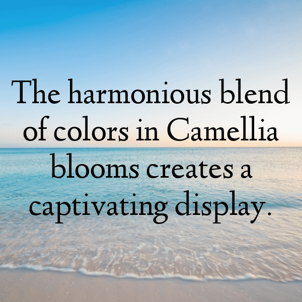 Camellia Captions Image For Instagram-JPzv2y