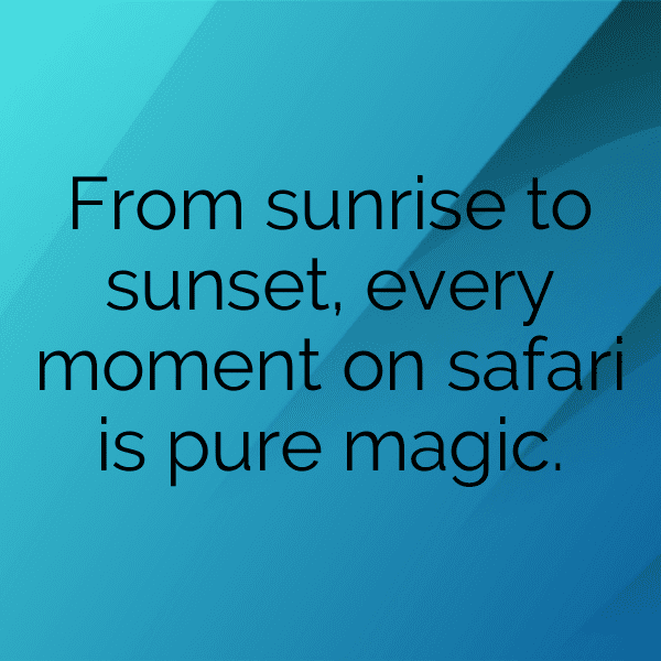 238+ Cameroon Captions For Instagram (Fresh & Trendy) 9 Cameroon Captions Image For Instagram-g0ojG1