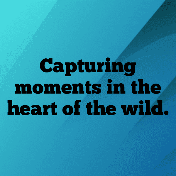 238+ Cameroon Captions For Instagram (Fresh & Trendy) 10 Cameroon Captions Image For Instagram-LOH8sp