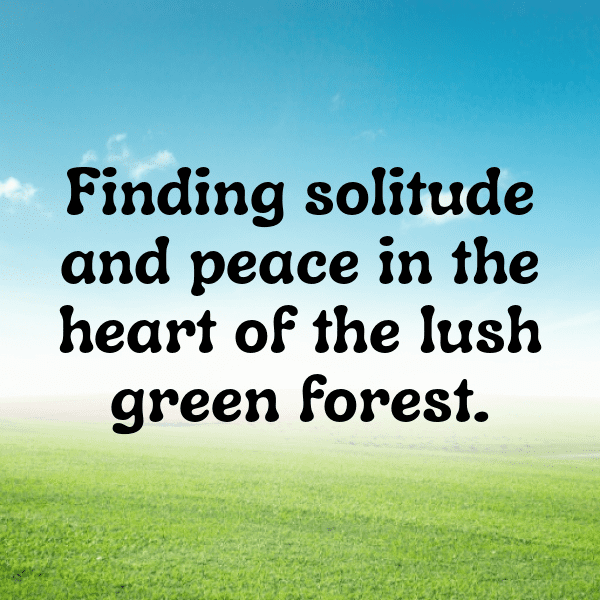 257+ Camping Trip Captions for Instagram (Fresh & Trendy) 5 Camping Trip Captions Image for Instagram-oQGDk7