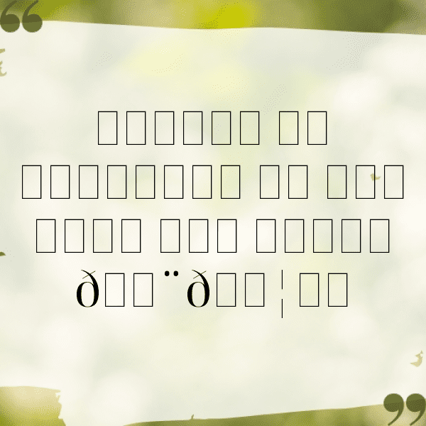 256+ Canada Captions For Instagram (Best, Funny & Short) 13 Canada Captions Photo For Instagram-jb6wP1