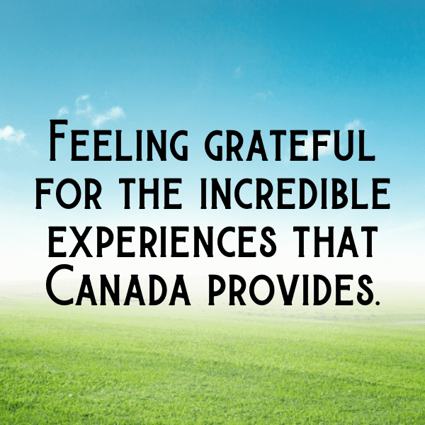 209+ Canary Captions For Instagram In 2025 11 Canary Captions Image For Instagram-fmucmi