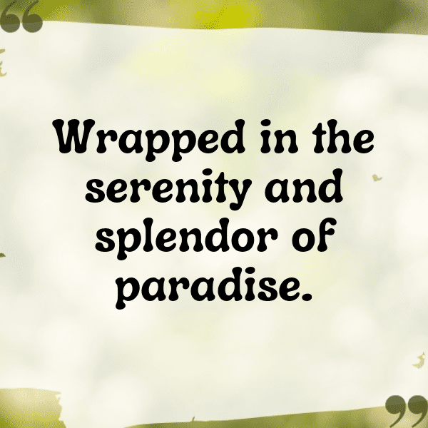 209+ Canary Captions For Instagram In 2025 10 Canary Captions Image For Instagram-Kq8lxz