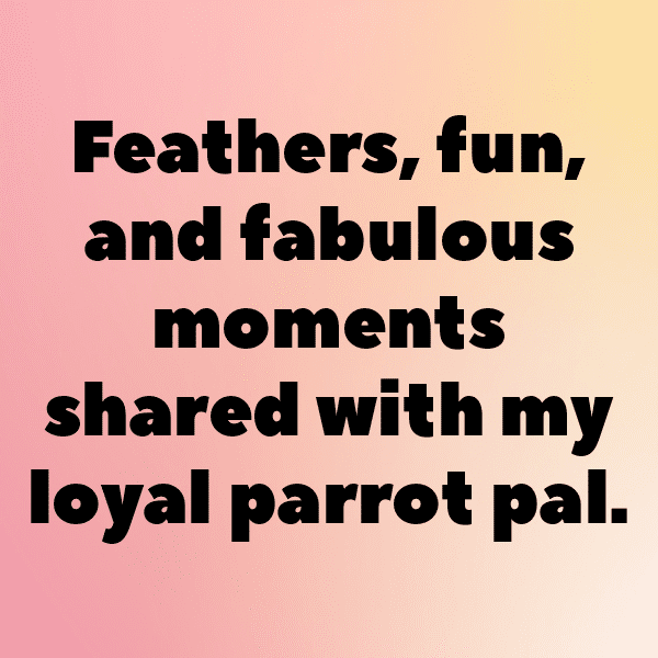 209+ Canary Captions For Instagram In 2025 18 Canary Captions Photo For Instagram-3hiPED