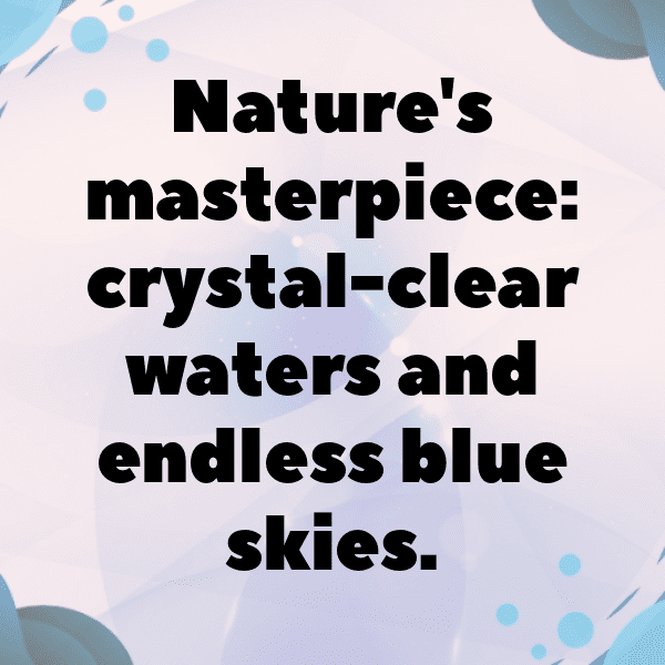 209+ Canary Captions For Instagram In 2025 6 Canary Captions Photo For Instagram-Lwy1qm