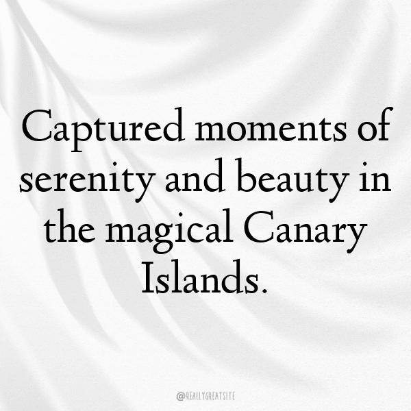 209+ Canary Captions For Instagram In 2025 13 Canary Captions Photo For Instagram-ruWVj9