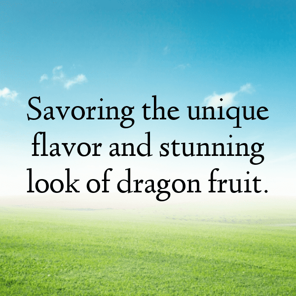 234+ Canistel Captions For Instagram (Fresh & Trendy) 6 Canistel Captions Photo For Instagram-FUqz0d