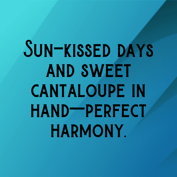 Cantaloupe Captions Photo For Instagram-tOsy5r