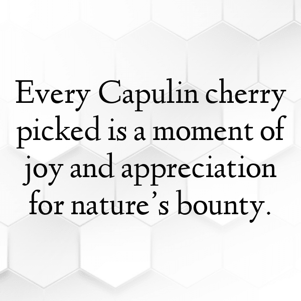 241+ Capulin Cherry Captions For Instagram (Fresh & Trendy) 5 Capulin Cherry Captions Image For Instagram-9BSepX