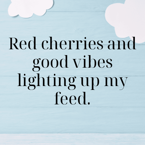 241+ Capulin Cherry Captions For Instagram (Fresh & Trendy) 10 Capulin Cherry Captions Image For Instagram-dCkWUU