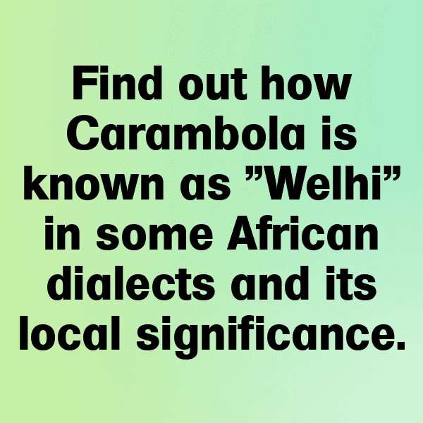 290+ Carambola Captions For Instagram (Short, Trending & Viral) 12 Carambola Captions Image For Instagram-AgbWH9