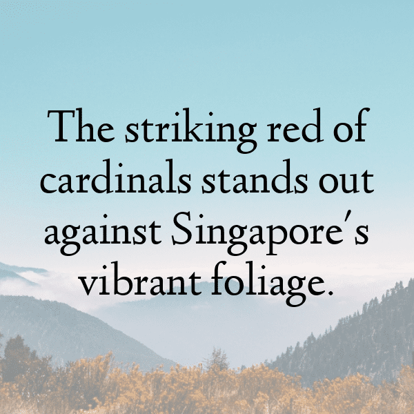 342+ Cardinal Captions For Instagram (Fresh & Trendy) 16 Cardinal Captions Image For Instagram-AavZIc