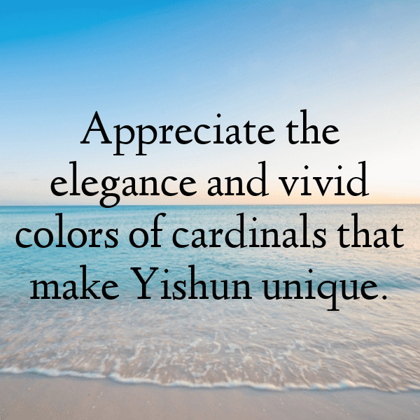 342+ Cardinal Captions For Instagram (Fresh & Trendy) 14 Cardinal Captions Image For Instagram-Ecm6un