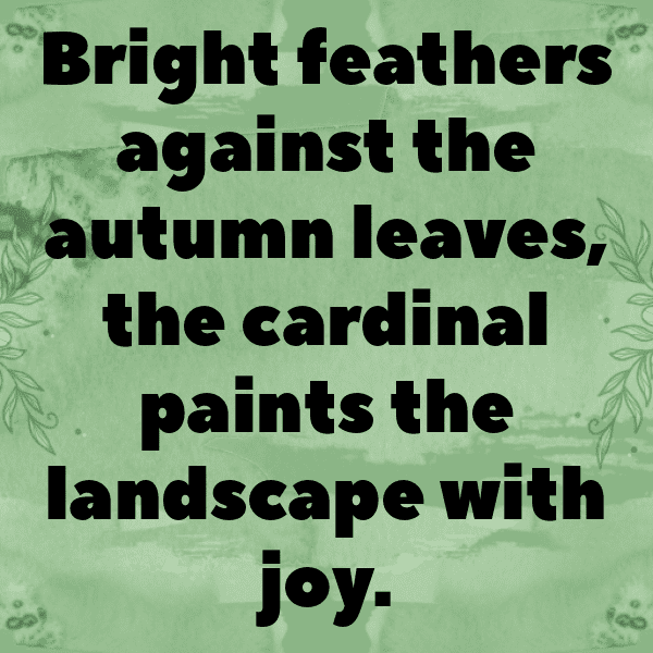 342+ Cardinal Captions For Instagram (Fresh & Trendy) 4 Cardinal Captions Image For Instagram-kYL90g