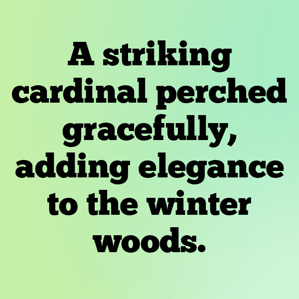 342+ Cardinal Captions For Instagram (Fresh & Trendy) 7 Cardinal Captions Image For Instagram-RN5nVU