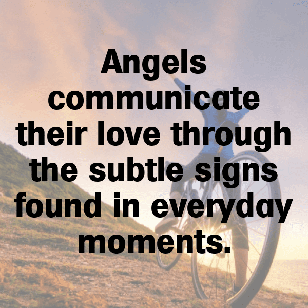 342+ Cardinal Captions For Instagram (Fresh & Trendy) 6 Cardinal Captions Image For Instagram-SuRKm8