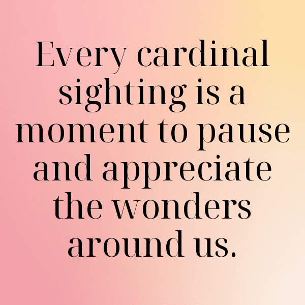 342+ Cardinal Captions For Instagram (Fresh & Trendy) 12 Cardinal Captions Image For Instagram-XNa5qp