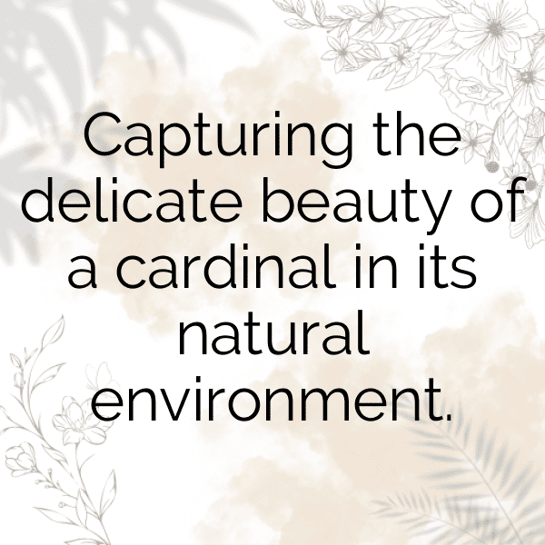 342+ Cardinal Captions For Instagram (Fresh & Trendy) 15 Cardinal Captions Photo For Instagram-3oYbj0