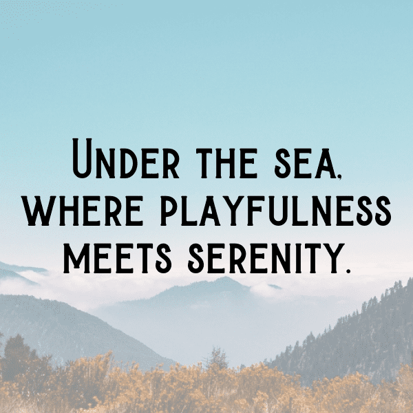 342+ Cardinal Captions For Instagram (Fresh & Trendy) 18 Cardinal Captions Photo For Instagram-6SdU7j