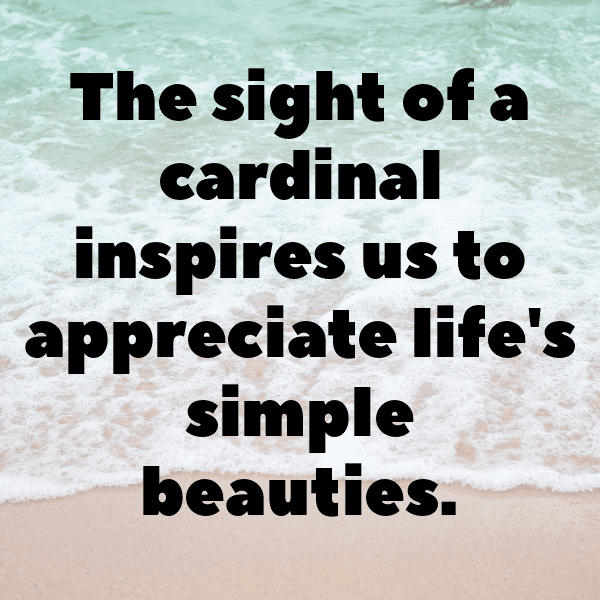 342+ Cardinal Captions For Instagram (Fresh & Trendy) 5 Cardinal Captions Photo For Instagram-Oqix3y