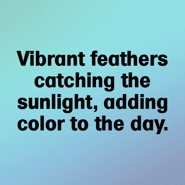 342+ Cardinal Captions For Instagram (Fresh & Trendy) 17 Cardinal Captions Photo For Instagram-zLtGWV