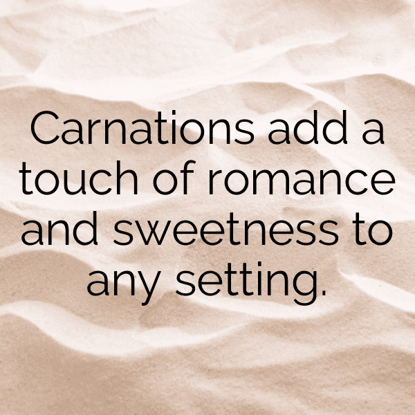 Carnation Captions Image For Instagram-BgmlHZ