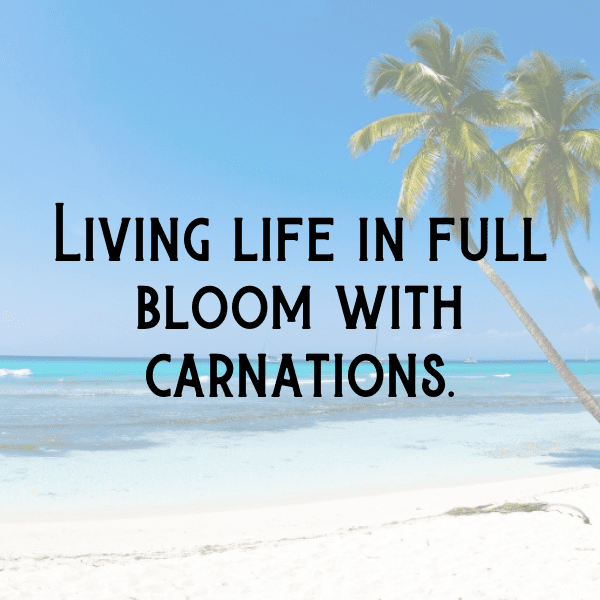 Carnation Captions Image For Instagram-zfb1Wb