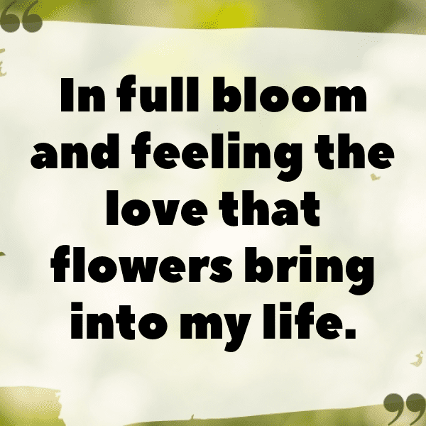 Carnation Captions Photo For Instagram-uFq9Qn