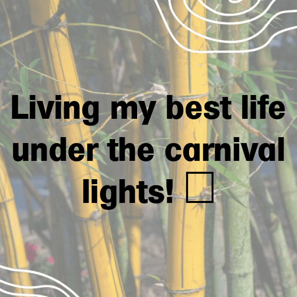 252+ Carnival Captions for Instagram (Short, Trending & Viral) 18 Carnival Captions Image for Instagram-qVps5x