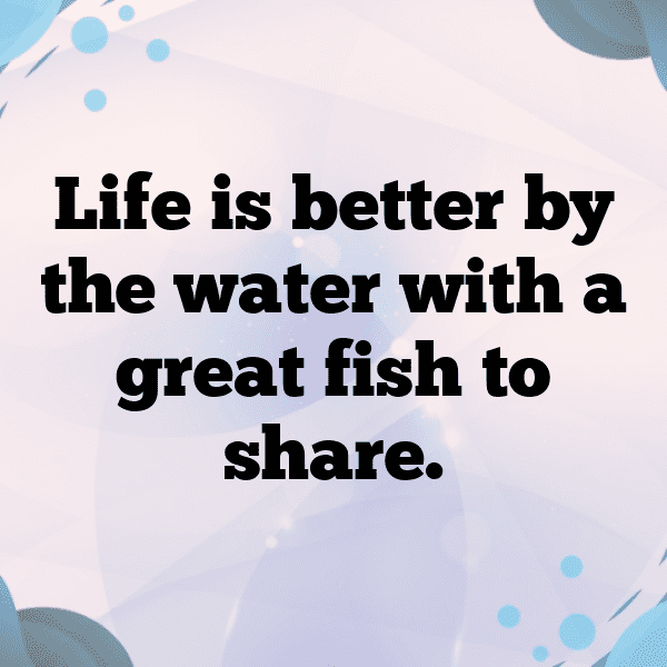 Carp Captions Image For Instagram-EhLMYI