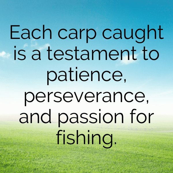 Carp Captions Photo For Instagram-xeloQZ