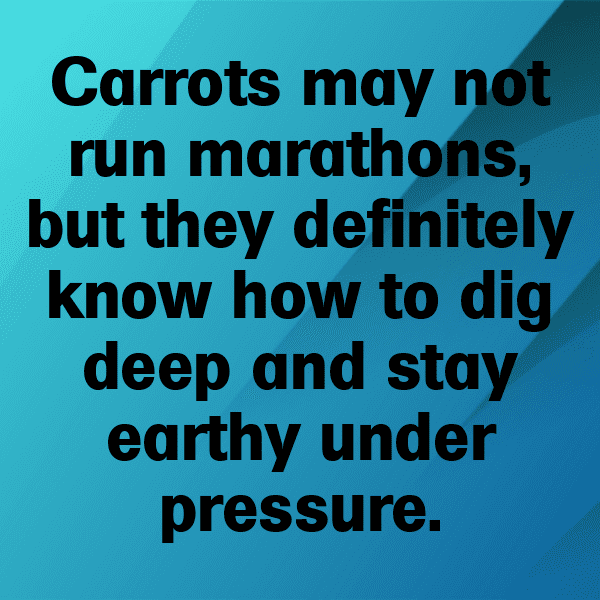 231+ Carrot Captions For Instagram (Best, Funny & Short) 4 Carrot Captions Photo For Instagram-mMpjWG