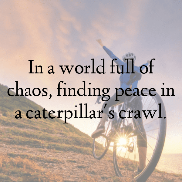 Caterpillar Captions Image For Instagram-5uueZq