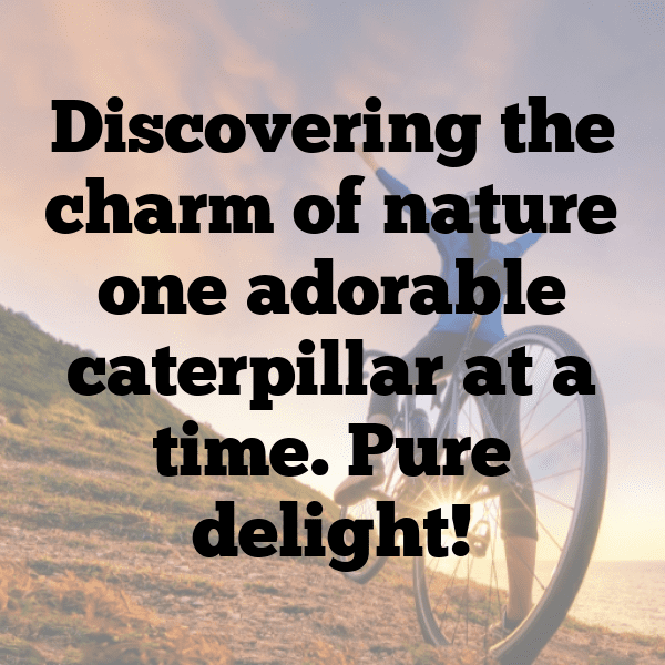 Caterpillar Captions Image For Instagram-ioVfd2