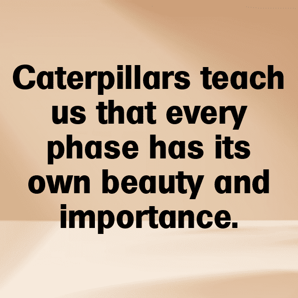 Caterpillar Captions Image For Instagram-RGEeP8