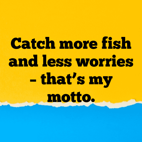 Catfish Captions Image For Instagram-yv9XgY