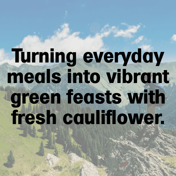 323+ Cauliflower Captions For Instagram (Best, Funny & Short) 13 Cauliflower Captions Image For Instagram-dCUYka