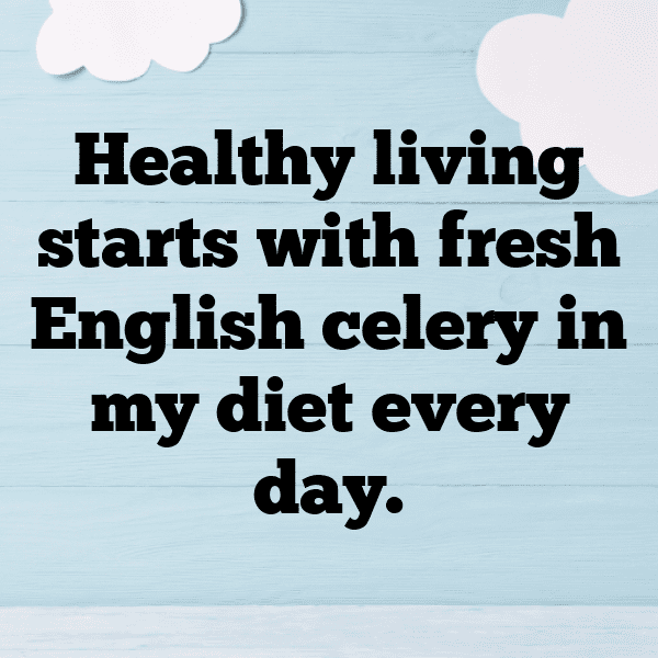 264+ Celery Captions For Instagram (Trending, Funny & Top) 4 Celery Captions Photo For Instagram-MgcHXr