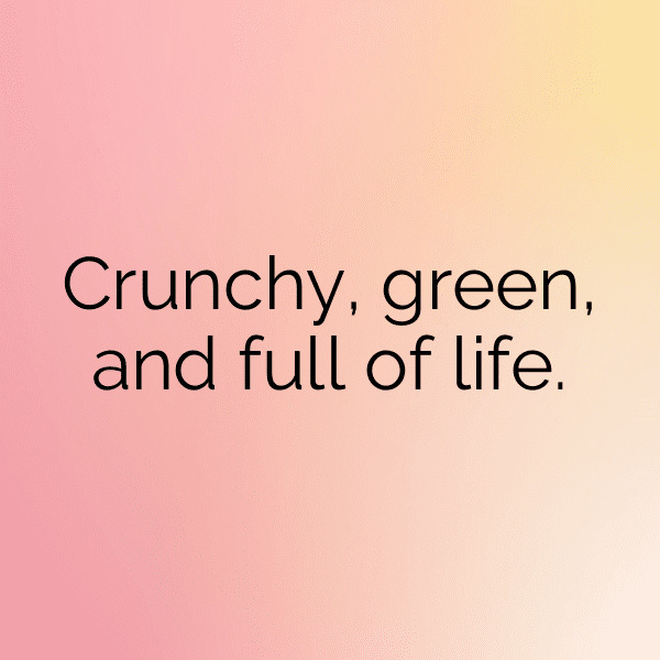 264+ Celery Captions For Instagram (Trending, Funny & Top) 5 Celery Captions Photo For Instagram-tUSiRR