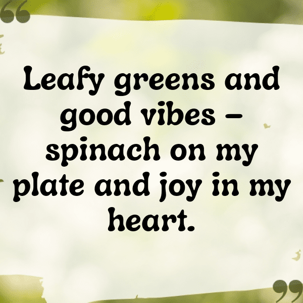 250+ Ceylon Spinach Captions For Instagram (Short, Trending & Viral) 15 Ceylon Spinach Captions Image For Instagram-IYgDNv