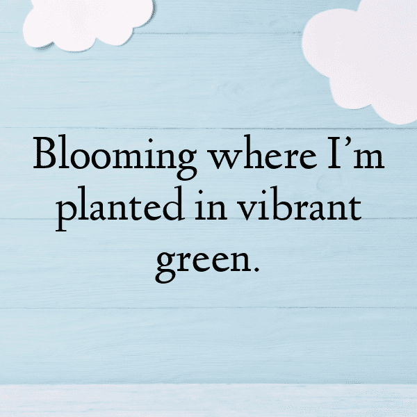 250+ Ceylon Spinach Captions For Instagram (Short, Trending & Viral) 10 Ceylon Spinach Captions Image For Instagram-PcJiN7