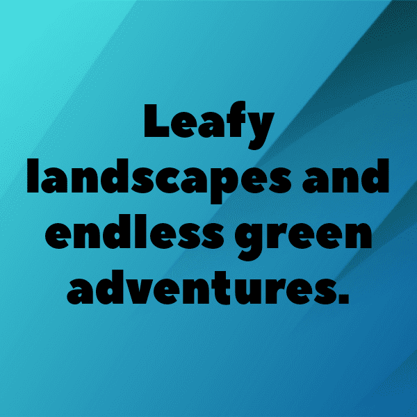 250+ Ceylon Spinach Captions For Instagram (Short, Trending & Viral) 8 Ceylon Spinach Captions Photo For Instagram-3Dk3iM