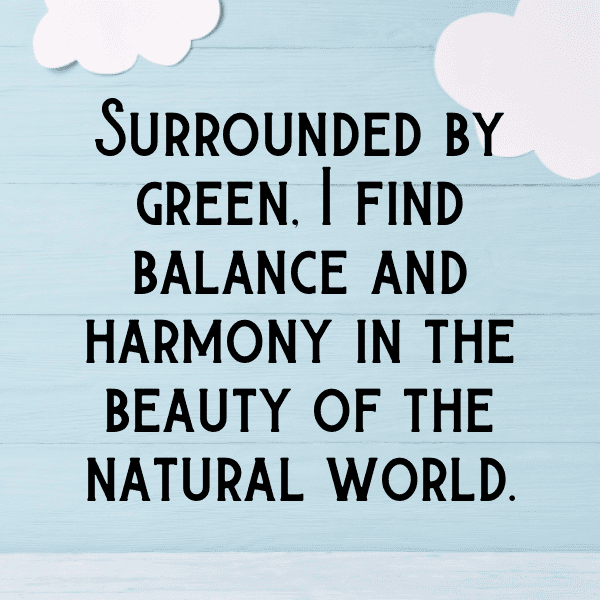 250+ Ceylon Spinach Captions For Instagram (Short, Trending & Viral) 3 Ceylon Spinach Captions Photo For Instagram-S1GTdG