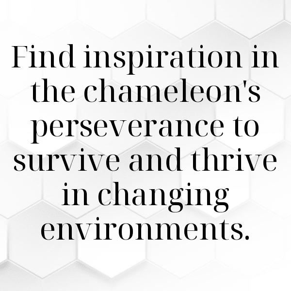 Chameleon Captions Image For Instagram-SkSPl5