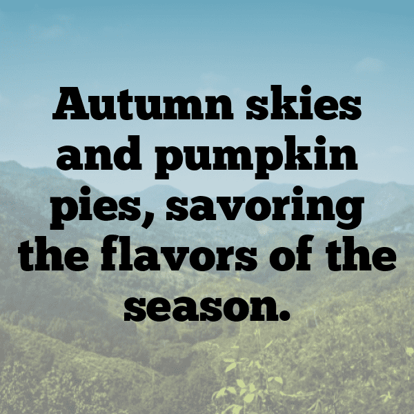 222+ Chard Captions For Instagram In 2025 9 Chard Captions Photo For Instagram-Ghnpok